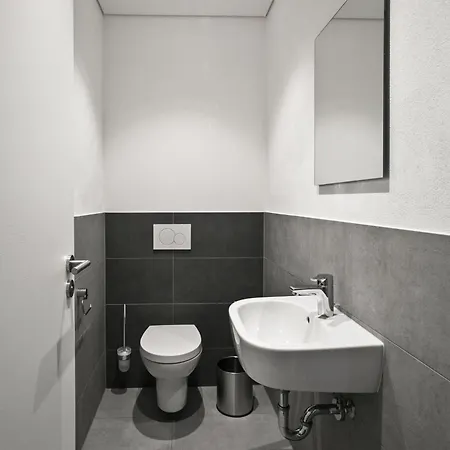 Hotel-gasthaus Engel Luttingen 3* Laufenburg