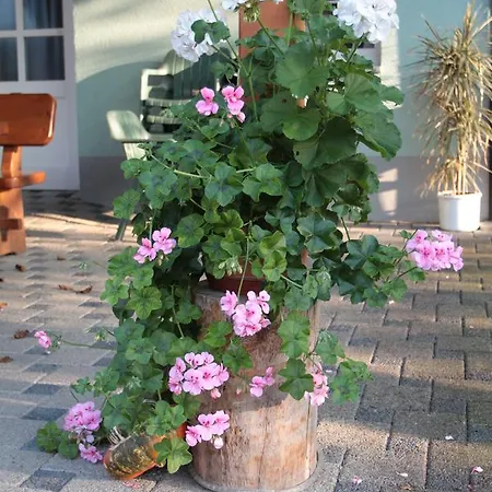 Hotel Hotel-gasthaus Engel Luttingen 3*