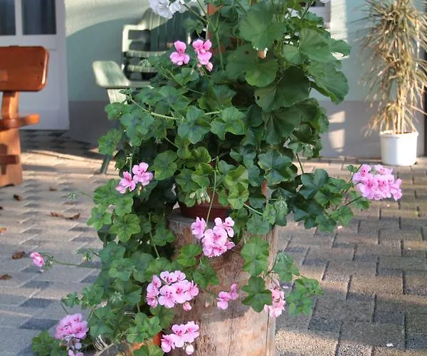 Hotel Hotel-gasthaus Engel Luttingen 3*